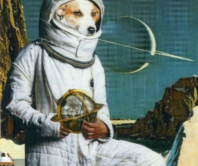 Oliver Dunne & Siobhán McCooey: Animal World: Dog on Moon (Laika)