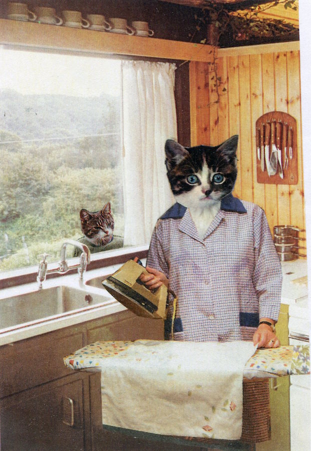 You catch me ironing clothes and think, ‘How nice!’ I’d much rather be out and hunting mice.