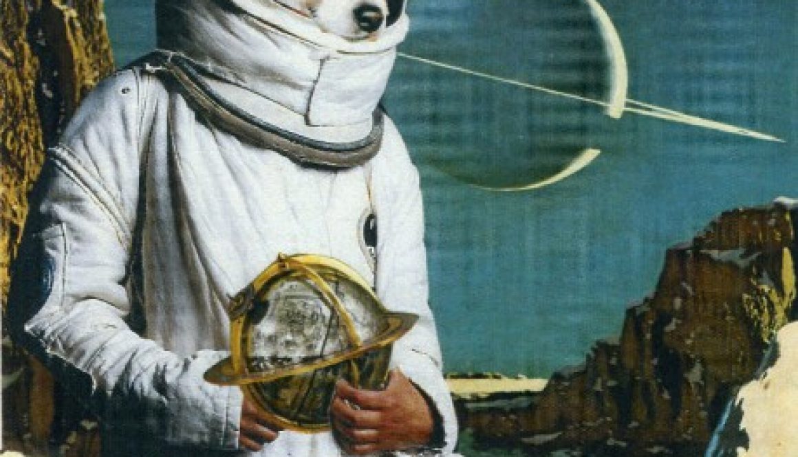 Oliver Dunne & Siobhán McCooey: Animal World: Dog on Moon (Laika)